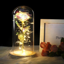 Charger l\'image dans la visionneuse de la galerie, LED Enchanted Rose (Ships within USA only)