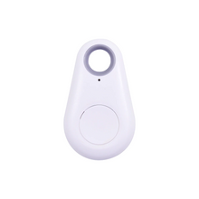 Charger l\'image dans la visionneuse de la galerie, smart bluetooth tracking keychain (Ships within USA only)
