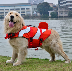 Dog shark life vest