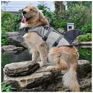 Dog shark life vest