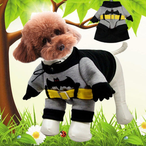 Batman Cat/Dog