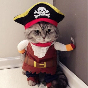 Pirate Cat & Dog