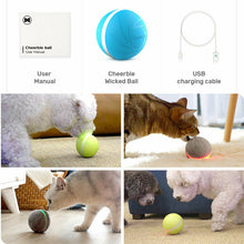Charger l\&#39;image dans la visionneuse de la galerie, Pet Dog Cat Jumping Activation Ball LED Light Flashing Bouncing Ball Puppy Toy
