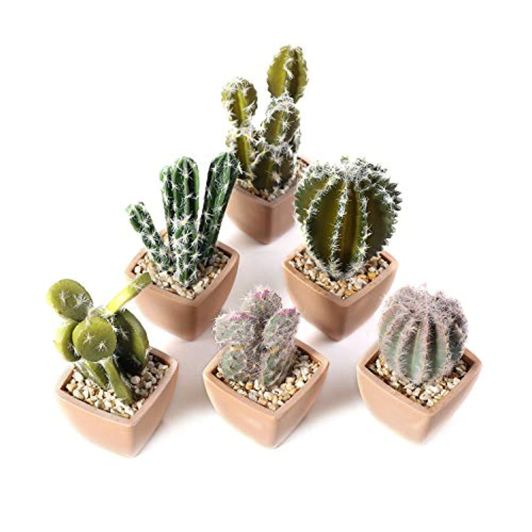 Assorted Artificial Succulent Potted Plants Decorative Plastic Faux Cactus with Pots, Pack of 6