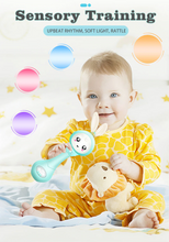 Load image into Gallery viewer, Baby teether - Rattle toy