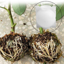 Load image into Gallery viewer, Plant Rooting Ball Grafting Box