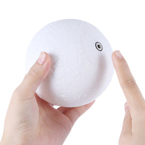 Rechargeable 3D Lights Print Moon Lamp 2 Color