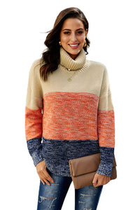 Brown Color Block Netted Texture Turtleneck Sweater