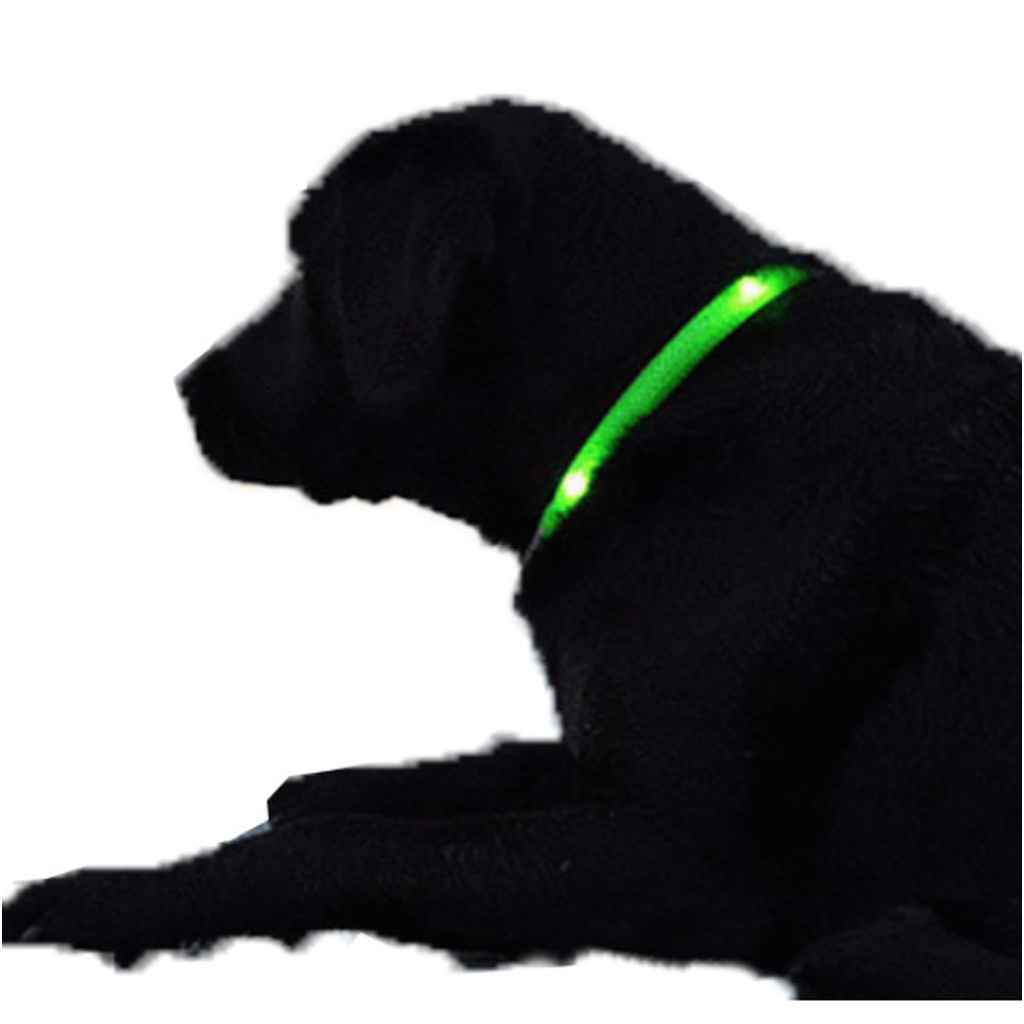 LED Dog Collar - Assorted Colors and Sizes (Ships From USA)